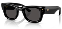 Gafas de sol Ray-Ban WAYFARER PUFFER 0RB4940 47 601/87 - 0RB4940 47 601/87